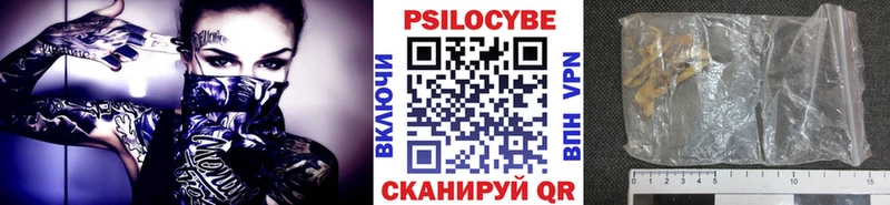 Галлюциногенные грибы Psilocybine cubensis  Купить  Торопец 